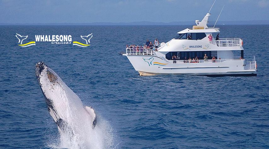 Whalesong Cruises